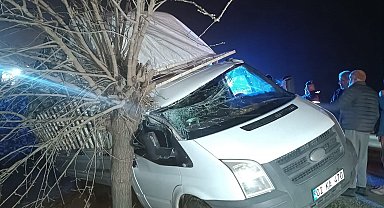 Kamyonet şarampolde ağaca çarptı: 1 yaralı