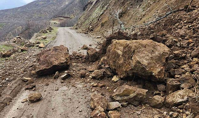 Karakoçan'da toprak kayması