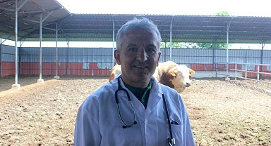 Karanfil "Veteriner hekim çiftlikten sofraya sağlığın adıdır"