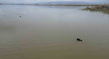Karaya oturan kayıklar, su seviyesi artınca yüzmeye başladı, ortaya çıkan adacıklar yok oldu