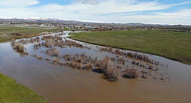 Kars Çayı taştı: Ağaçlar sular altında kaldı