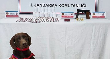 Kastamonu'da uyuşturucu operasyonu: 1 tutuklama