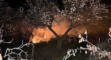 Kayısı bahçelerini ateş ve dumanla donmaya karşı koruyorlar