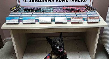 Kayseri'de kaçak sigara operasyonu