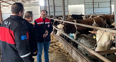 Kırklareli'nde besi çiftliği kontrolleri devam ediyor
