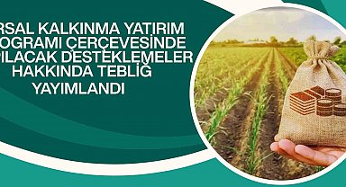 Kırsal kalkınma yatırımlarına yüzde 70'e varan hibe desteği