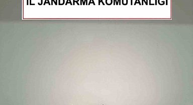 Kırşehir'de kaçak kazıya suçüstü: 2 gözaltı