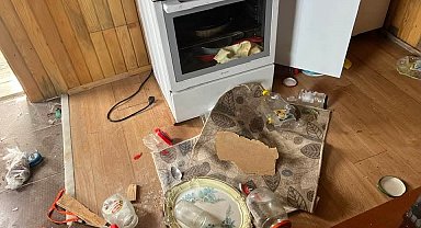 Kış uykusu bitti, ayı istilası başladı