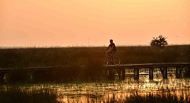 Kızılırmak Deltası Kuş Cenneti'nde bahar coşkusu