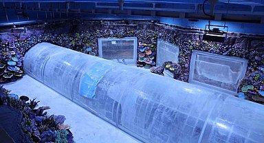 Kocaeli'de su altında dünya turu başlıyor: 30 farklı akvaryumla eşsiz gezi