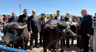Kocaeli'deki manda yetiştiricilerine 3,4 milyon liralık destek