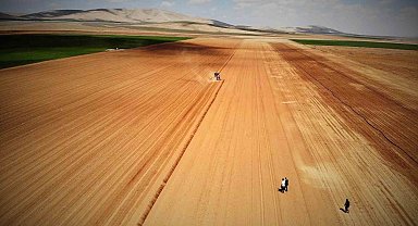 Konya Ovası'nda yağışlar rekolte beklentisini arttırdı