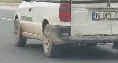 Köpeğin komik anları kamerada