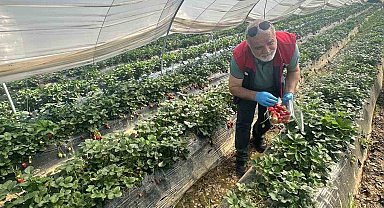 Köşk'ten Sultanhisar'a çapraz denetim