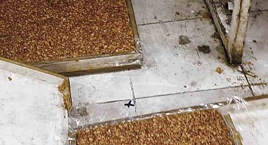 Kötü koku üzerine girilen evde mide bulandıran şartlarda lokum ve cezerye üretildiği ortaya çıktı