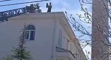 Kovancılar'da mahsur kalan kedi kurtarıldı