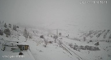 Köye inen kurt sürüsü kameraya yansıdı