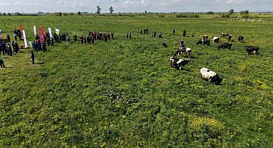 Kozan'da ıslah edilen mera alanı dualarla açıldı, sürüler alanda otlamaya başladı