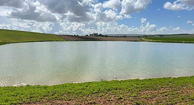 Kuraklıkla kuruma noktasına gelen gölet yağışlarla yeniden canlandı