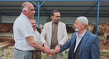 Kurban pazarında hareketlilik başladı