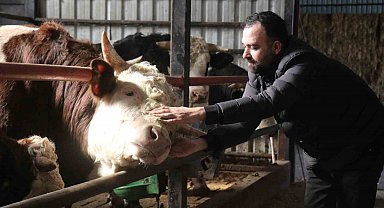 Kurbanlık alışverişinde erken alım hareketliliği