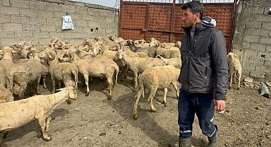 Kurbanlık parasıyla evlenmişti şimdi doğacak bebeği için kullanacak