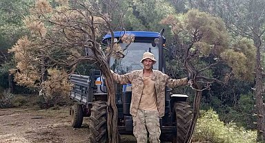 Kuru Geven köylünün gelir kaynağı oldu