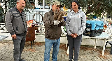 Kuşadası'nda yaralı şahin tedavisinin ardından doğaya bırakıldı