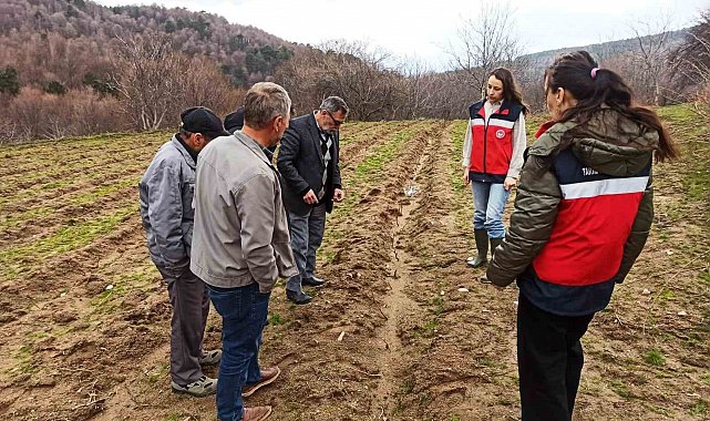 Kütahya'da yüzde 75 hibeli ahududu bahçelerinde kontroller gerçekleştirildi