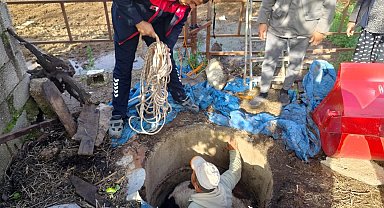 Kuyuya düşen buzağı zorlu çalışmayla kurtarıldı