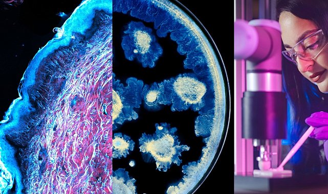 L'Oréal ve Institut Pasteur'den cilt sağlığı biliminde iş birliği