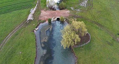 Leyleklerin durağı yemyeşil görüntüsüyle mest ediyor