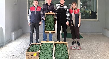 Lüleburgaz'da çiftçiye hıyar fidesi dağıtıldı