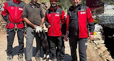 Mahsur kalan 2 keçi, 100 metrelik sarp araziden kurtarıldı