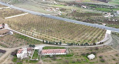 Malatya'da kayısı üreticileri zirai dona karşı önlem alıyor