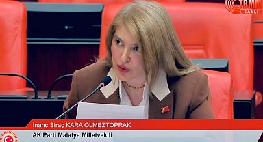 Malatya'nın dolu hasarı ve sanayi yatırımları TBMM gündeminde