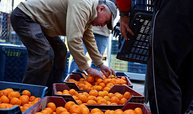 Mandalin üreticisine 5 milyon kazanç