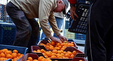 Mandalin üreticisine 5 milyon kazanç