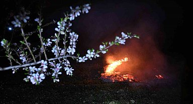 Manisa'da zirai don nöbeti