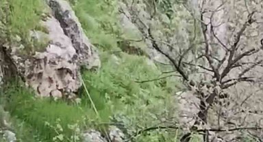 Mardin'de mahsur kalan keçileri itfaiye kurtardı