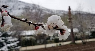 Mart sonrası Nisan şoku: Erzincan ve çevresinde gece donu