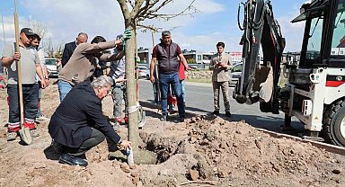 Melikgazi, ağaçlandırma çalışmaları ile geleceğe daha yeşil bir miras bırakıyor