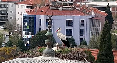 Menteşe'nin sadık misafirleri geldi, 30 yıllık gelenek bozulmadı