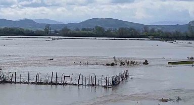 Meriç Nehri taştı, sular yollara ulaştı