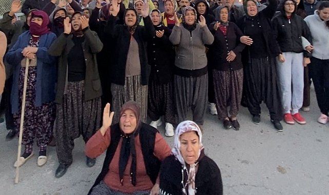 Mersin'de ormanlık alana ekili narenciye bahçelerinin kaldırılması kararına tepki