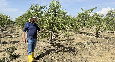 Mersin'de selin ardından bahçelerde sular yeni çekildi
