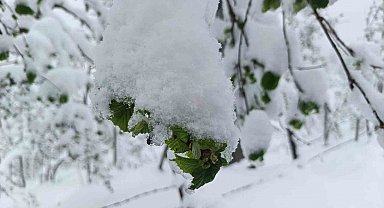 Meteorolojiden Ordu'da zirai don uyarısı