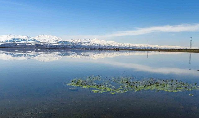 Meteorolojiden zirai don uyarısı