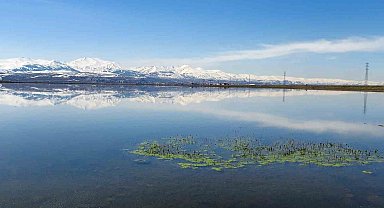 Meteorolojiden zirai don uyarısı