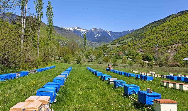 Mevsim normallerinin altında seyreden hava sıcaklığı arıcıları vurdu, uzmanlardan kritik uyarı